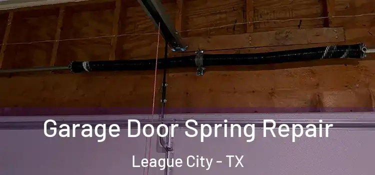  Garage Door Spring Repair League City - TX