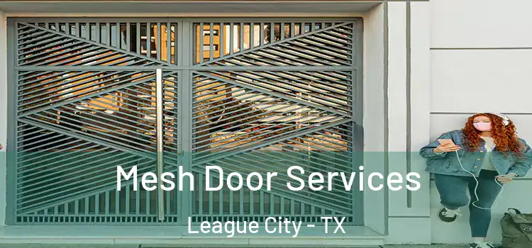 Mesh Door Services League City - TX